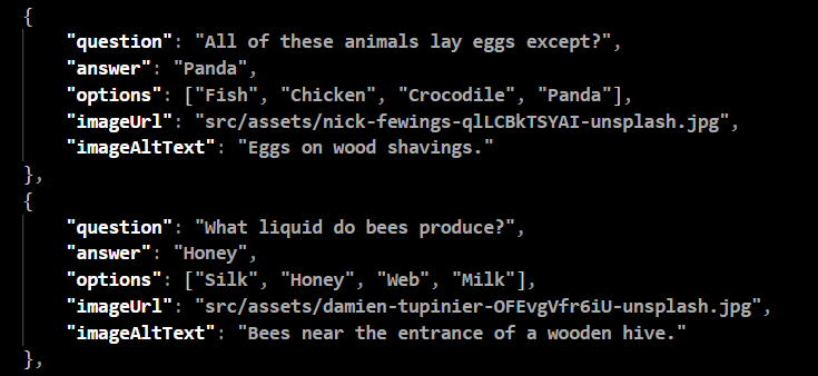 Screenshot of the questions.json file