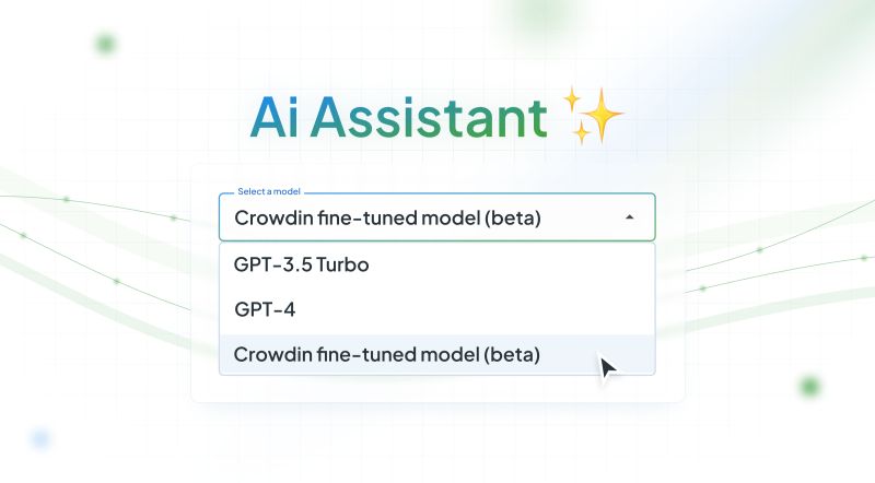 AI Assistant: Fine-tuning